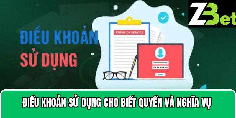 Điều khoản sử dụng cho biết quyền và nghĩa vụ