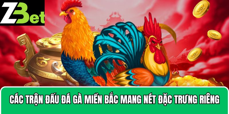 Các trận đấu đá gà miền Bắc mang nét đặc trưng riêng