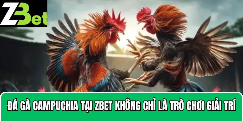 Đá gà Campuchia tại Zbet không chỉ là trò chơi giải trí