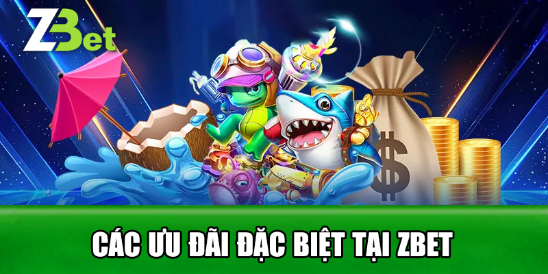 Các Ưu Đãi Đặc Biệt Tại Zbet