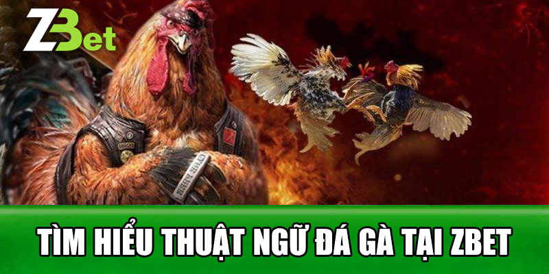 tìm hiểu thuật ngữ đá gà tại zbet