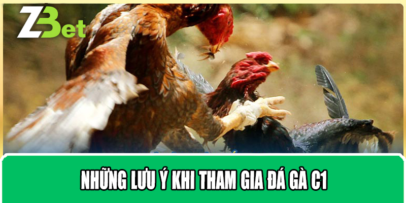 Những Lưu Ý Khi Tham Gia Đá Gà C1
