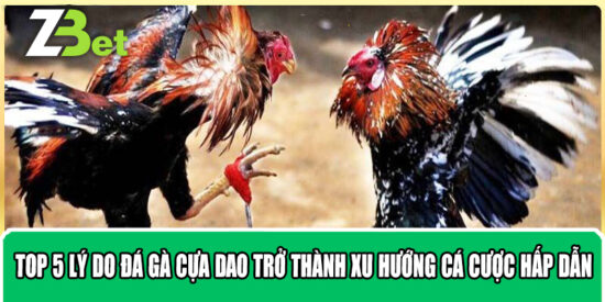Top 5 Lý Do Đá Gà Cựa Dao Trở Thành Xu Hướng Cá Cược Hấp Dẫn