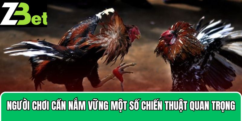 Người chơi cần nắm vững một số chiến thuật quan trọng
