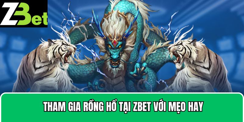  Tham gia Rồng Hổ tại Zbet với mẹo hay