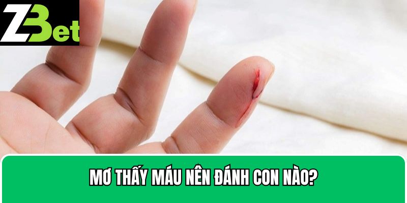 Khi nằm mơ thấy đánh nhau chảy máu thì nên đánh con gì