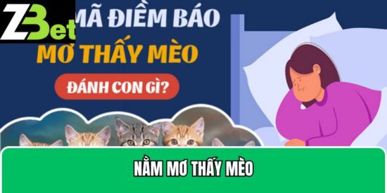 Nằm mơ thấy mèo