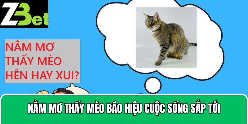 Nằm mơ thấy mèo báo hiệu cuộc sống sắp tới