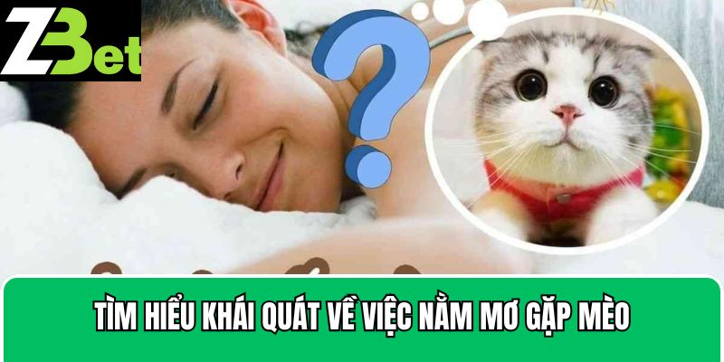 Tìm hiểu khái quát về việc nằm mơ gặp mèo